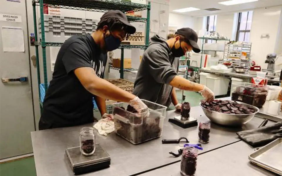 Two young chefs preparing food