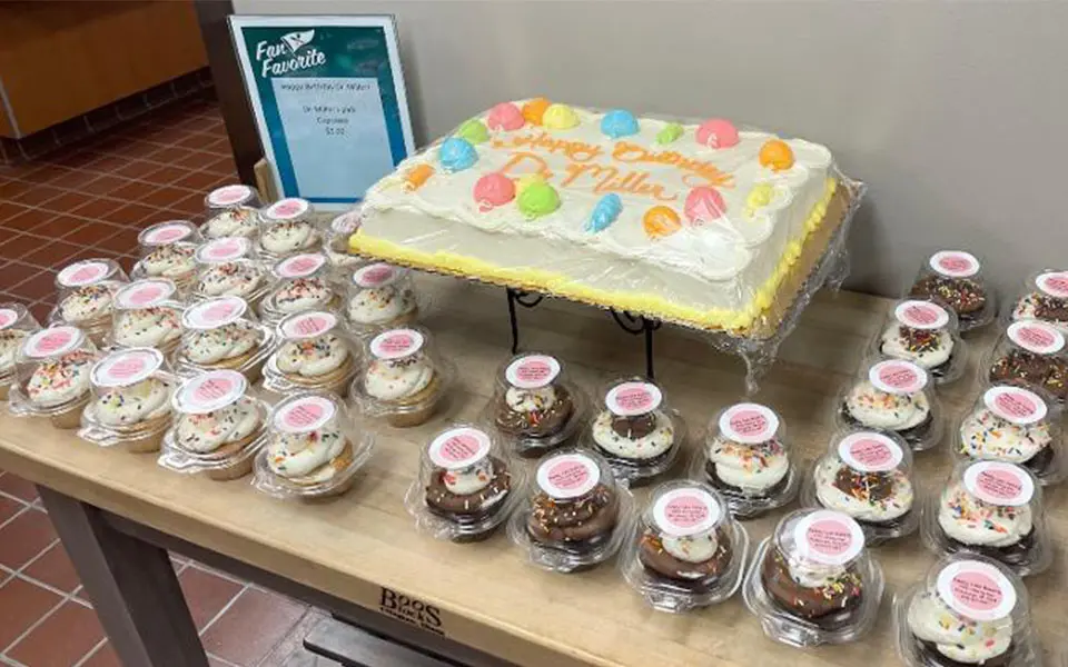 Food Display with Cake and Cupcakes